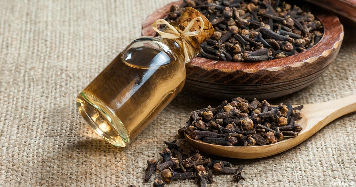 سر القرنفل في التخلص من الشيب والشعر الأبيض ومنع ظهوره مرة ثانية 5 سر القرنفل في التخلص من الشيب والشعر الأبيض ومنع ظهوره مرة ثانية