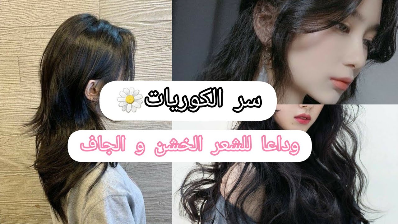 "سر الشعر الناعم الحريري للفتيات الكوريات" وصفة كورية لتنعيم الشعر الجاف والخشن 5 “سر الشعر الناعم الحريري للفتيات الكوريات” وصفة كورية لتنعيم الشعر الجاف والخشن