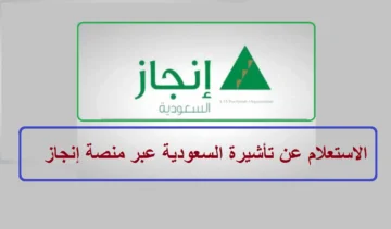 كيفية الاستعلام عن التأشيرة باستخدام رقم الجواز من خلال منصة التأشيرات…وزارة الخارجية توضح