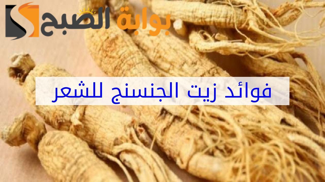 تعرف علي فوائد زيت الجنسنج للشعر ... فوائد رهيبة مش هتصدق مفعوله 5 تعرف علي فوائد زيت الجنسنج للشعر … فوائد رهيبة مش هتصدق مفعوله
