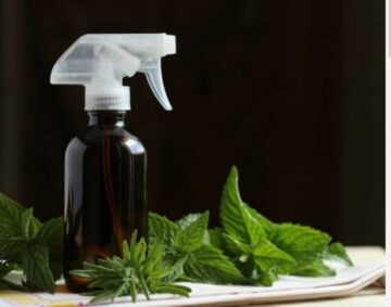 وفري فلوسك واعملي معطر الجو في البيت بمكونات بسيطة واحصلي على رائحة جذابة لمنزلك