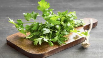 طول عمرنا بنستخدمه غلط.. كنز في البقدونس لشعرك هيخليه يوصل لركبتك