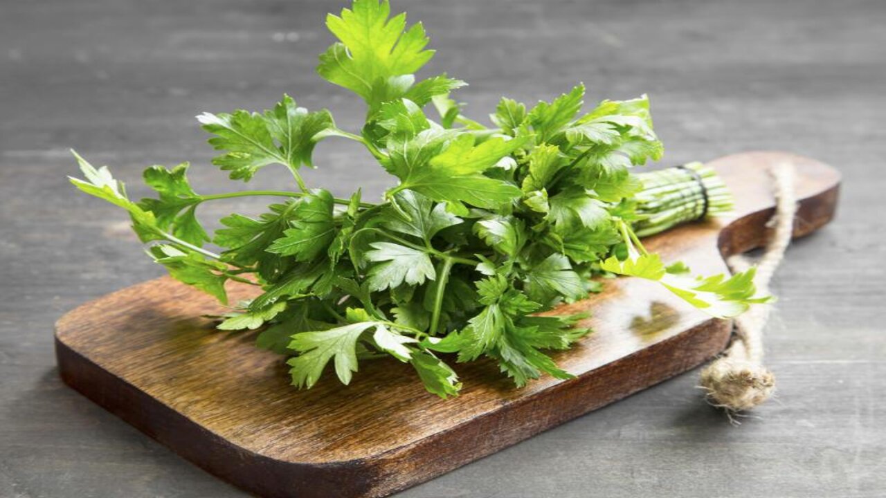 طول عمرنا بنستخدمه غلط.. كنز في البقدونس لشعرك هيخليه يوصل لركبتك 5 طول عمرنا بنستخدمه غلط.. كنز في البقدونس لشعرك هيخليه يوصل لركبتك