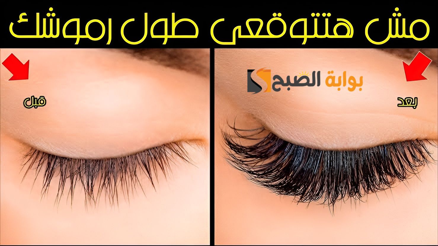 رموشك هتبقى رفارف.. وصفة فعالة لتطويل الرموش بخطوات بسيطة هقولك عليها "مش هتحتاجى لماسكارا تاني " 5 رموشك هتبقى رفارف.. وصفة فعالة لتطويل الرموش بخطوات بسيطة هقولك عليها “مش هتحتاجى لماسكارا تاني “