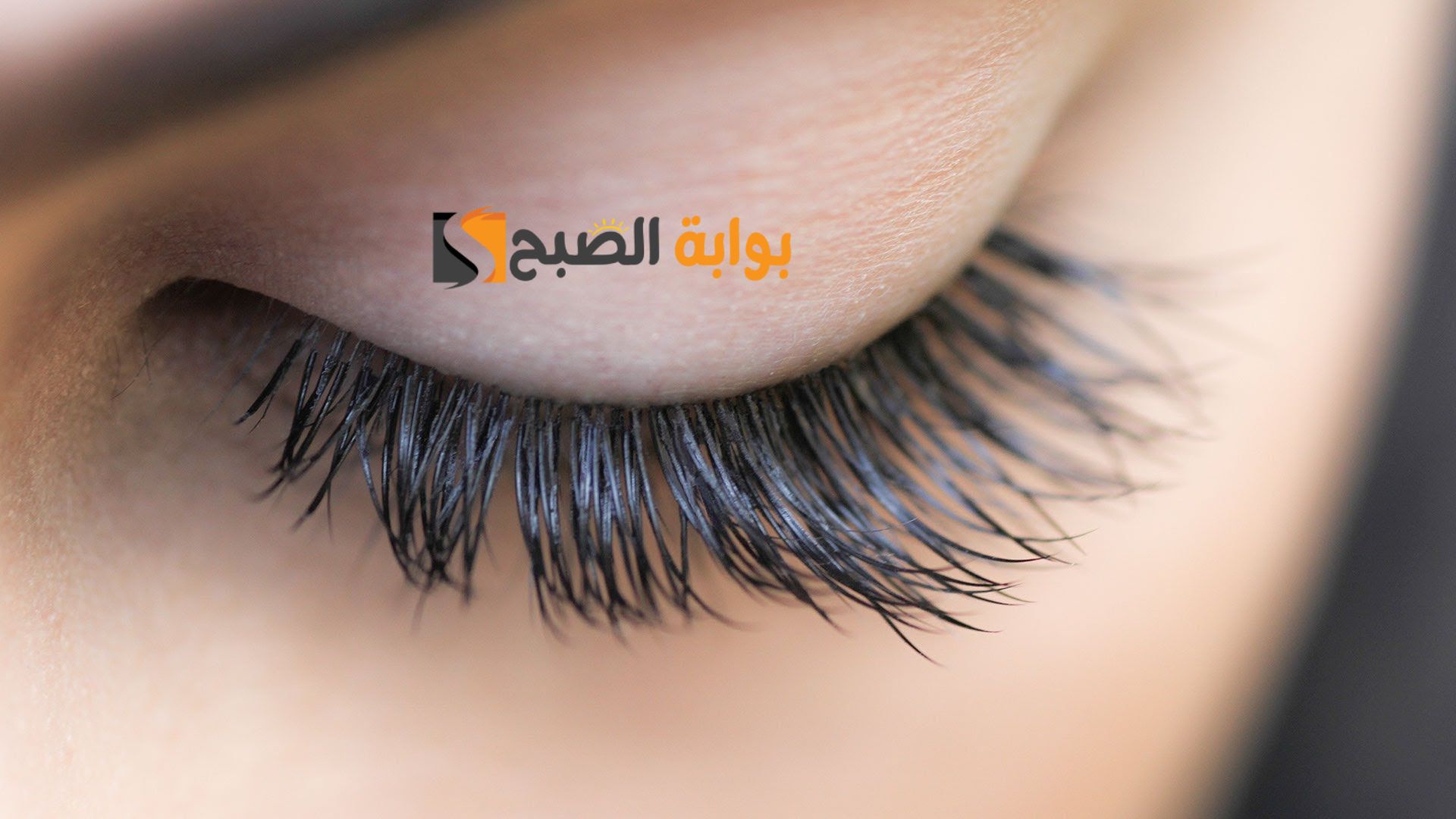 مش هتاخد منك وقت كتير.. وصفة طبيعية تعمل على تطويل الرموش وزيادة كثافتها في أسرع وقت "عيونك هتبقى عيون عزلان " 5 مش هتاخد منك وقت كتير.. وصفة طبيعية تعمل على تطويل الرموش وزيادة كثافتها في أسرع وقت “عيونك هتبقى عيون عزلان “