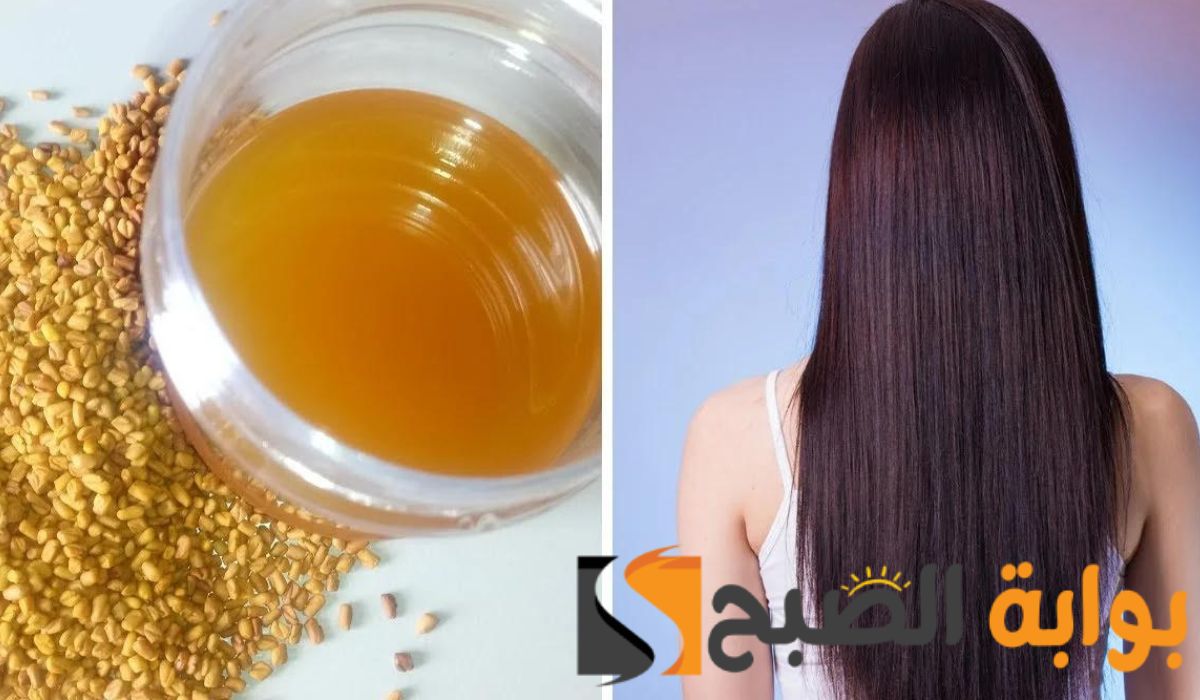 العلاج السحري لمشاكل الشعر... وصفة بذور الحلبة للشعر وأفضل طريقة لاستخدامها "هتطول شعرك وتحارب التساقط" 5 العلاج السحري لمشاكل الشعر… وصفة بذور الحلبة للشعر وأفضل طريقة لاستخدامها “هتطول شعرك وتحارب التساقط”