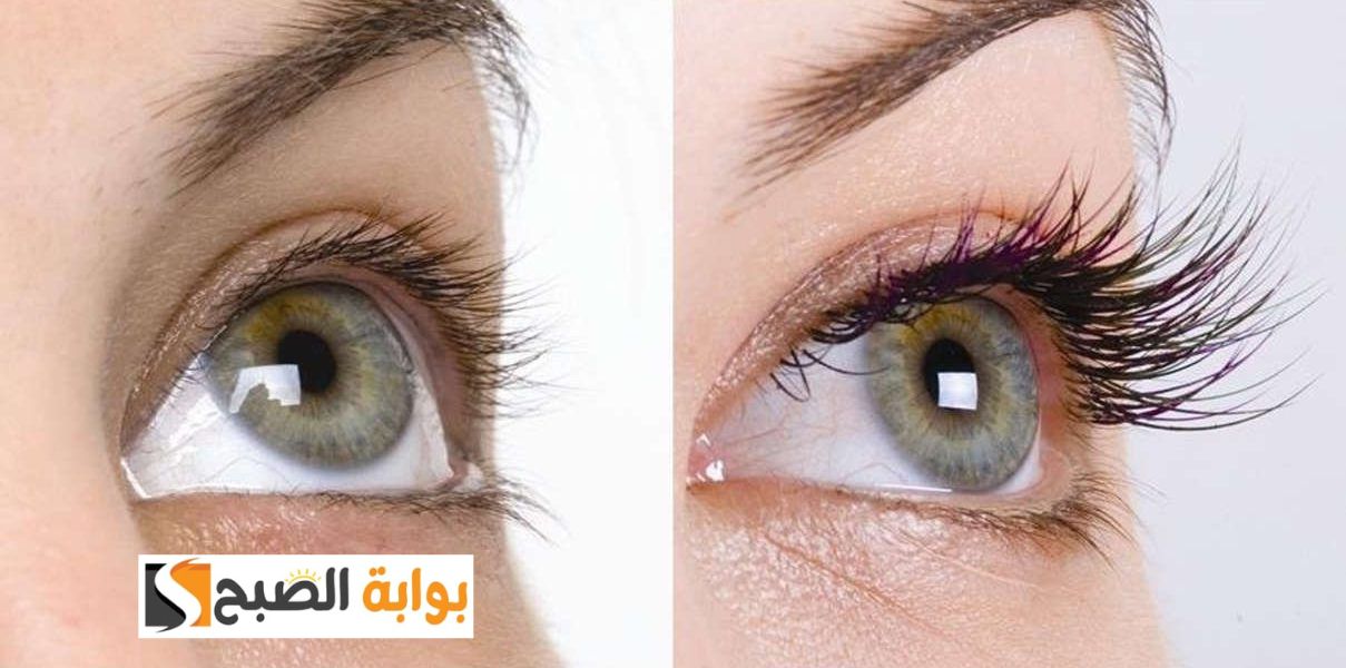 للعرايس وبس... قبل فرحك كثفي رموشك مع وصفات طبيعية لتكثيف الرموش تودعين الرموش الصناعية "يوم زفافك تبقى أميرة" 5 للعرايس وبس… قبل فرحك كثفي رموشك مع وصفات طبيعية لتكثيف الرموش تودعين الرموش الصناعية “يوم زفافك تبقى أميرة”