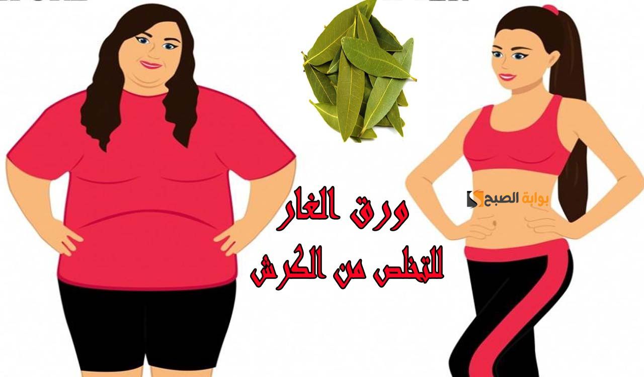 حتى لو كرشك كبير .. مشروب الطاقة من ورق الغار والقرفة لحرق دهون البطن في أقل من أسبوع "هتخسي من غير ما تحسي" 5 حتى لو كرشك كبير .. مشروب الطاقة من ورق الغار والقرفة لحرق دهون البطن في أقل من أسبوع “هتخسي من غير ما تحسي”