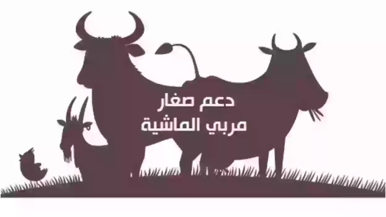 شروط التسجيل في دعم المواشي 1445هـ .. خدمات منصة أنعام الإلكترونية