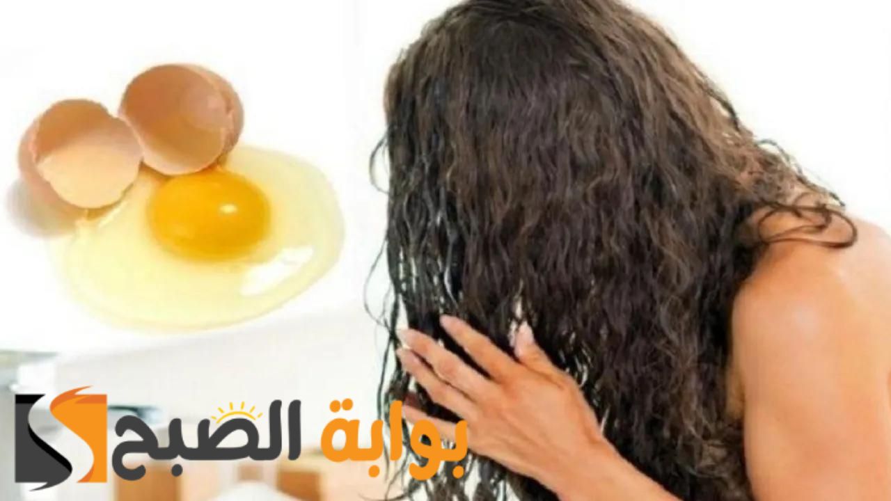 افضل ماسكات البيض للشعر الجاف وفوائده 5 افضل ماسكات البيض للشعر الجاف وفوائده