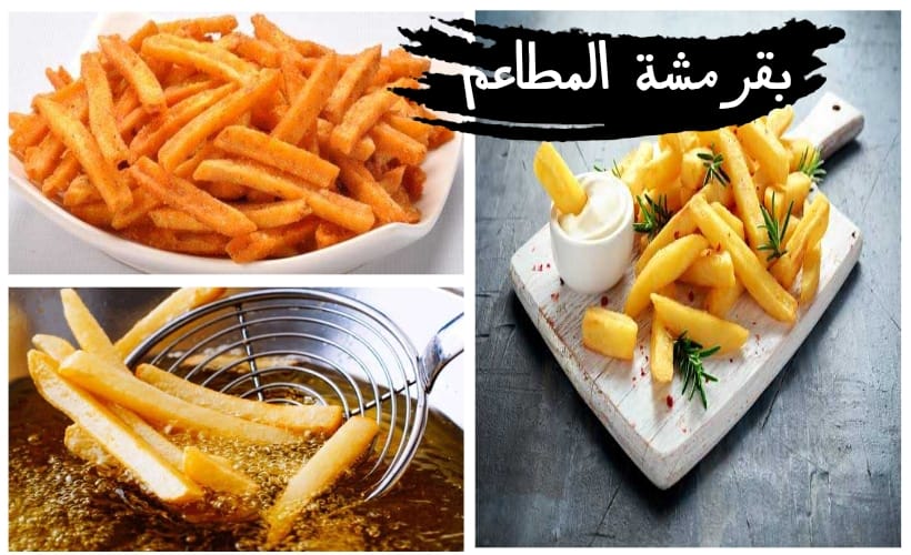 “جربيها ومش هتندمي”.. بطاطس المطاعم المقلية المقرمشة بتتبيلة لا تقاوم.. مش هتشتريها من برة تاني!