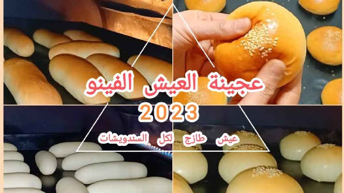 عجينة العيش فينو والقرص هشة ناجحة بطريقة عجن جديدة اعمليه بدقيق الشوفان