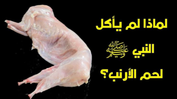 سر لم يخطر على بال مخلوق.. لماذا لم يتناول النبي صلى الله عليه وسلم لحم الأرنب… 90% لا يعرفوا المعلومة !!