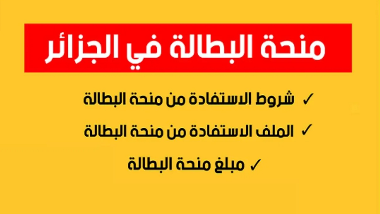 قدم الآن.. رابط تسجيل منحة البطالة في الجزائر 2024 وشروط الحصول عليها 5 قدم الآن.. رابط تسجيل منحة البطالة في الجزائر 2024 وشروط الحصول عليها