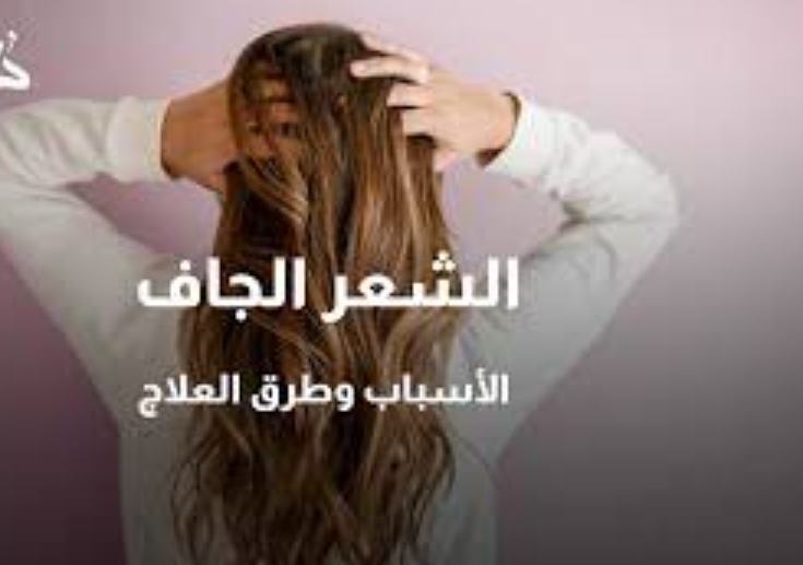"وداعا الشعر الجاف" خلطات طبيعية لعلاج الشعر الجاف نهائيًا 5 “وداعا الشعر الجاف” خلطات طبيعية لعلاج الشعر الجاف نهائيًا
