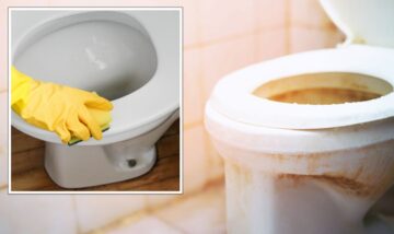 خلطة جهنمية لتنظيف قاعدة الحمام من الرواسب والاصفرار بدون دعك أو فرك هترجع كأنها جديدة