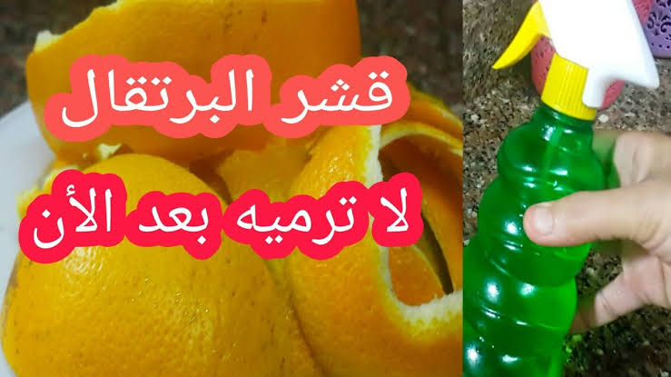 مستحيل ترميه تاني.. طريقة سحرية للتخلص من الحشرات المنزلية باستخدام قشر البرتقال 5 مستحيل ترميه تاني.. طريقة سحرية للتخلص من الحشرات المنزلية باستخدام قشر البرتقال