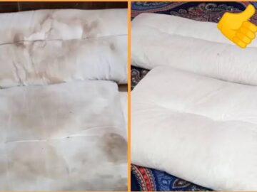 هترجع جديده لانج معاكي… طريقة التخلص من اصفرار المخدات والبقع الصعبةوداعا للاحراج