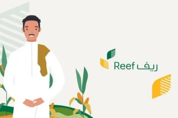 توضيح وزارة البيئة والزراعة حول تاريخ نزول دعم ريف بعد الموافقة على الطلب: كل ما تحتاج لمعرفته 5 توضيح وزارة البيئة والزراعة حول تاريخ نزول دعم ريف بعد الموافقة على الطلب: كل ما تحتاج لمعرفته