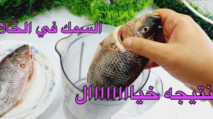 «مش هتبطلي تعمليها».. فكرة روووعة لأطعم وألذ وصفة سمك في الخلاط .. جربيها ومش هتندمي 5 «مش هتبطلي تعمليها».. فكرة روووعة لأطعم وألذ وصفة سمك في الخلاط .. جربيها ومش هتندمي