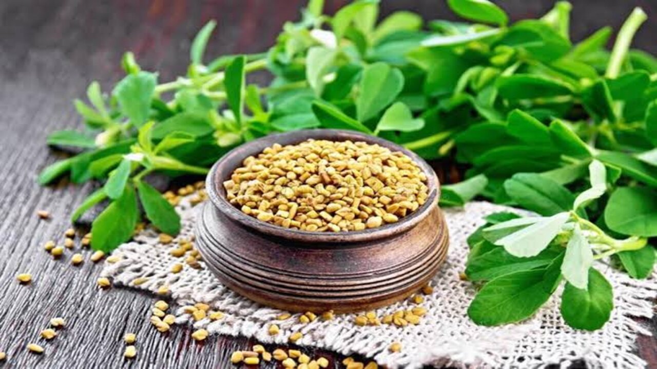 مفعولها اعجازي.. استخدمي الحلبة بالطريقة دي ومش هتلاحقي على طول شعرك 5 مفعولها اعجازي.. استخدمي الحلبة بالطريقة دي ومش هتلاحقي على طول شعرك