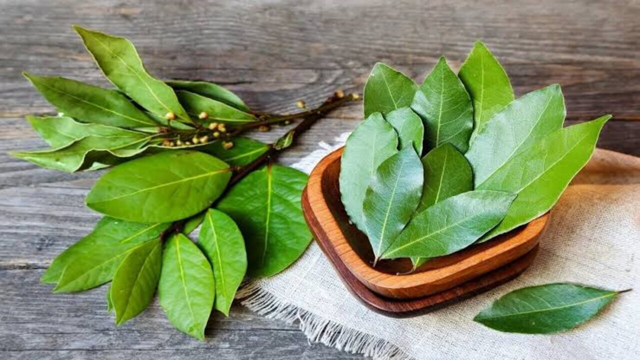 لو عايزة عودك يبقى زي عارضات الازياء.. عشبة متوفرة هتشيل الجناب والأرداف 5 لو عايزة عودك يبقى زي عارضات الازياء.. عشبة متوفرة هتشيل الجناب والأرداف