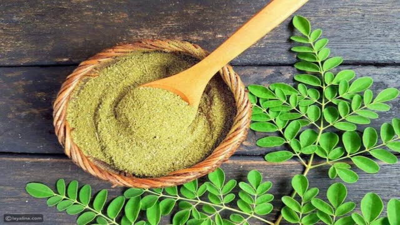 عودك هيبقى يجنن.. مشروب طبيعي هينحت جسمك ويخليكي زي الفراشة في 3 أيام 5 عودك هيبقى يجنن.. مشروب طبيعي هينحت جسمك ويخليكي زي الفراشة في 3 أيام