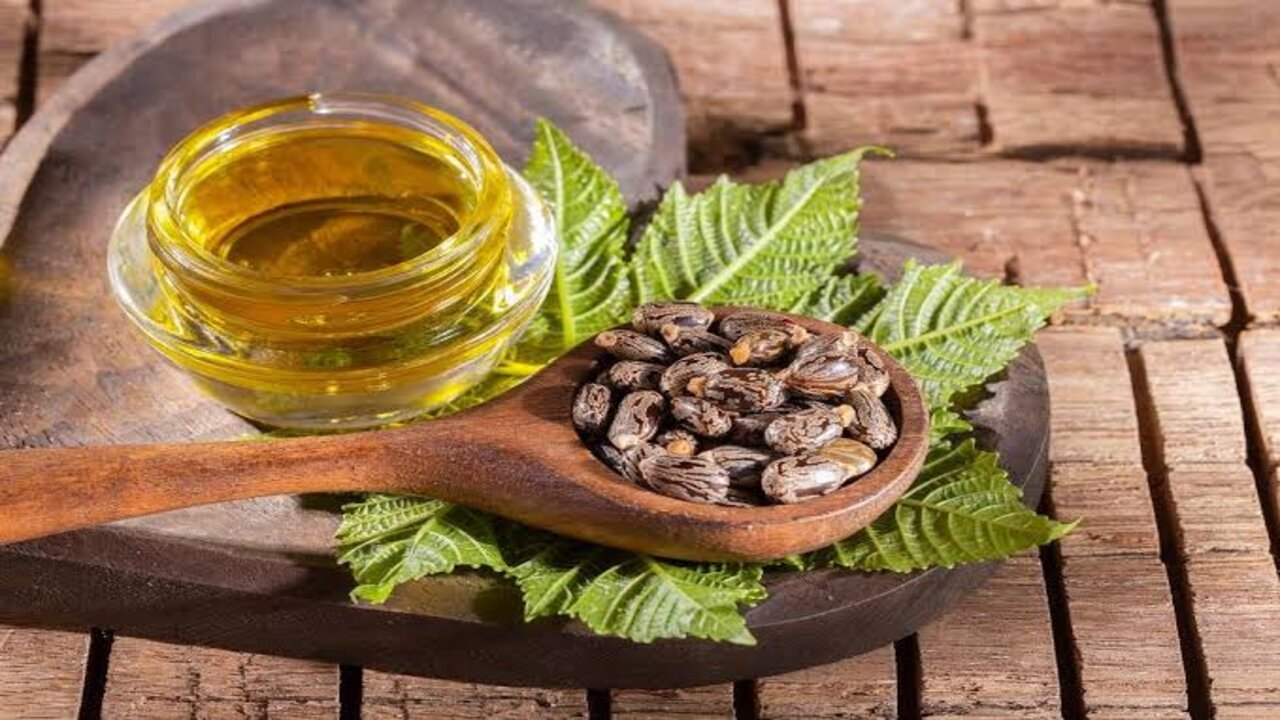 جمالك هيبقى أضعاف.. معجزة زيت الخروع هتخلي شعرك تقيل وطويل وزي الحرير 5 جمالك هيبقى أضعاف.. معجزة زيت الخروع هتخلي شعرك تقيل وطويل وزي الحرير