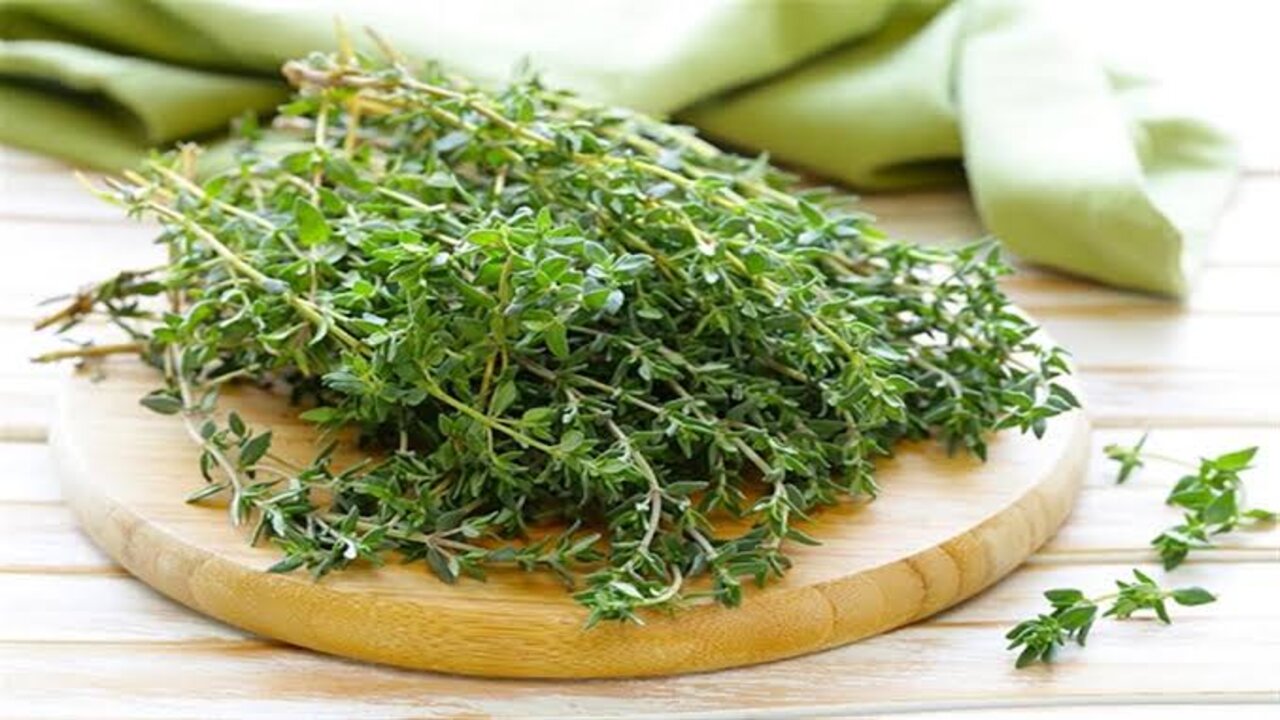 يا حظ اللي عنده منها.. عشبة ذات مفعول خارق ستجعلك لن تستطيع العيش بدونها