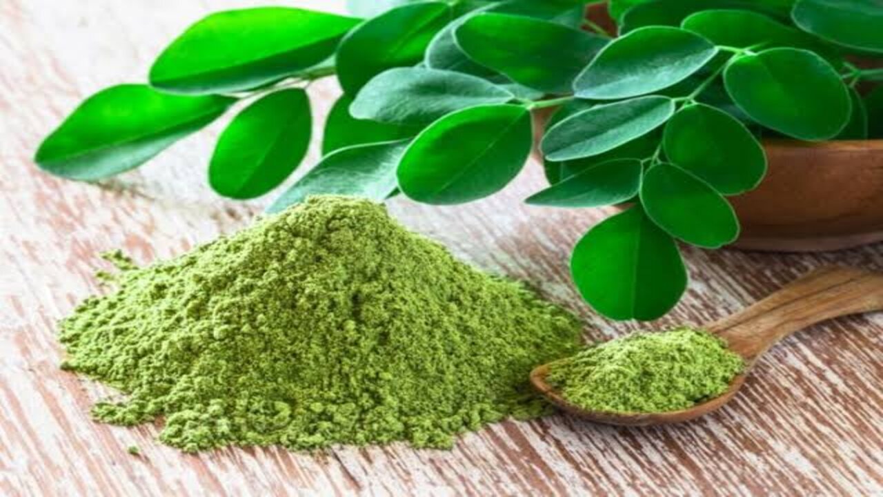 السر كله في العشبة دي.. نبات طبيعي يملك قدرا خارقة هيخليكي متقدريش تستغني عنه 5 السر كله في العشبة دي.. نبات طبيعي يملك قدرا خارقة هيخليكي متقدريش تستغني عنه