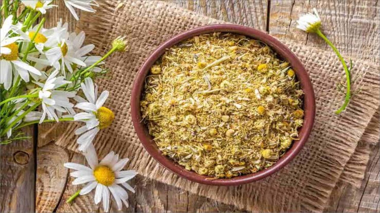 زهرة طبيعية لاستعادة المظهر الرائع في أسرع وقت وبنتائج رائعة 5 زهرة طبيعية لاستعادة المظهر الرائع في أسرع وقت وبنتائج رائعة