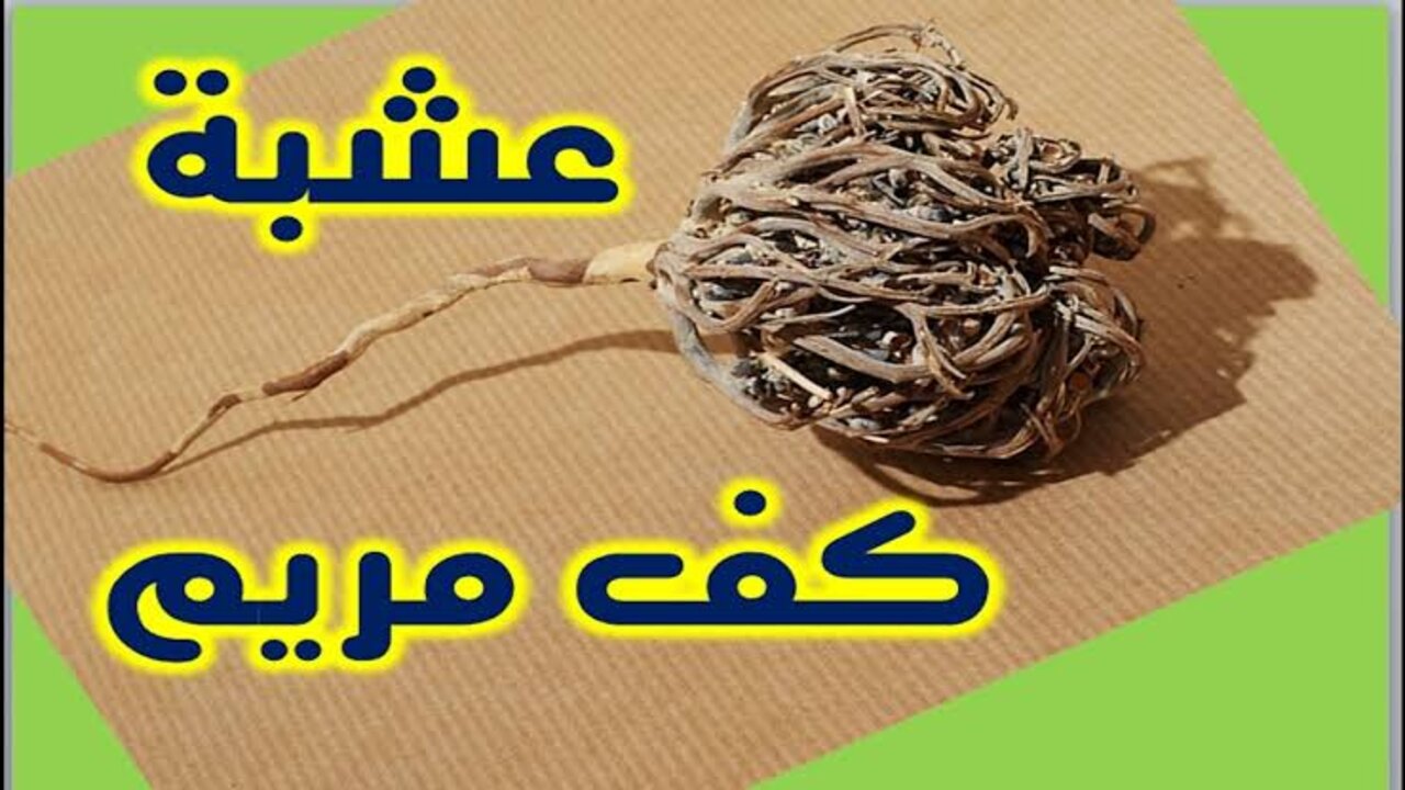 هتنسي التجاعيد.. عشبة سحرية سوف تخلصك من جميع مشاكل البشرة خلال اسبوع واحد فقط