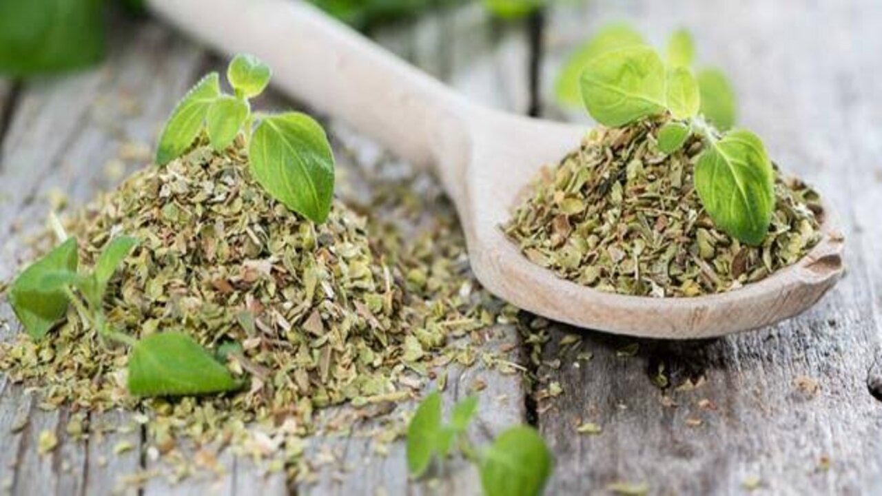 لو عايزة عودك يبقى سمبتيك.. بمعلقة واحدة من العشبة دي هتنحتي جسمك في 5 أيام 5 لو عايزة عودك يبقى سمبتيك.. بمعلقة واحدة من العشبة دي هتنحتي جسمك في 5 أيام