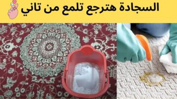 الوصفة السحرية لتنظيف السجاد علي الناشف بدون ماء هتزيل الأوساخ والأتربة في ثواني هترجع جديدة لانج