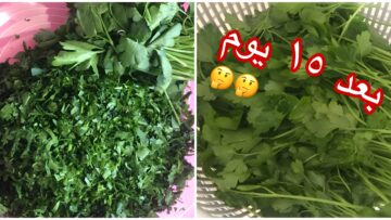 طريقة سحرية لتخزين الشبت والبقدونس والكزبرة لفترة طويلة في الثلاجة بدون تغيير في لونها هتفضل طازجة بأسرار التجار