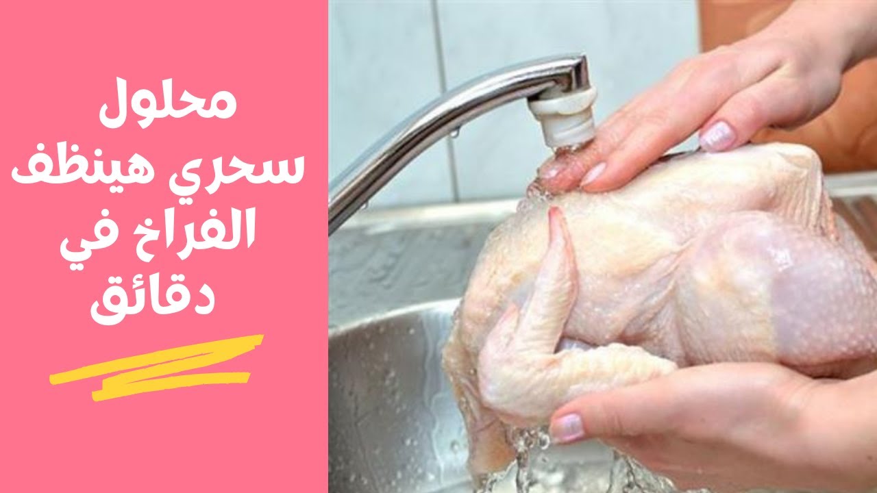 مكون كالسحر لو غسلتي الفراخ بيه هيزيل الزفارة والروائح خالص وهيخليها نظيفة فلة 5 مكون كالسحر لو غسلتي الفراخ بيه هيزيل الزفارة والروائح خالص وهيخليها نظيفة فلة