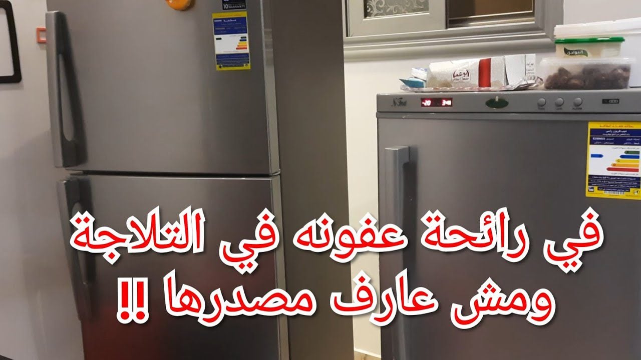 وداعاً للروائح الكريهة.. طريقة تنظيف الثلاجة من الروائح الكريهة وتعقيمها بمكون ميخطرش على بالك هتبقى زي الفل