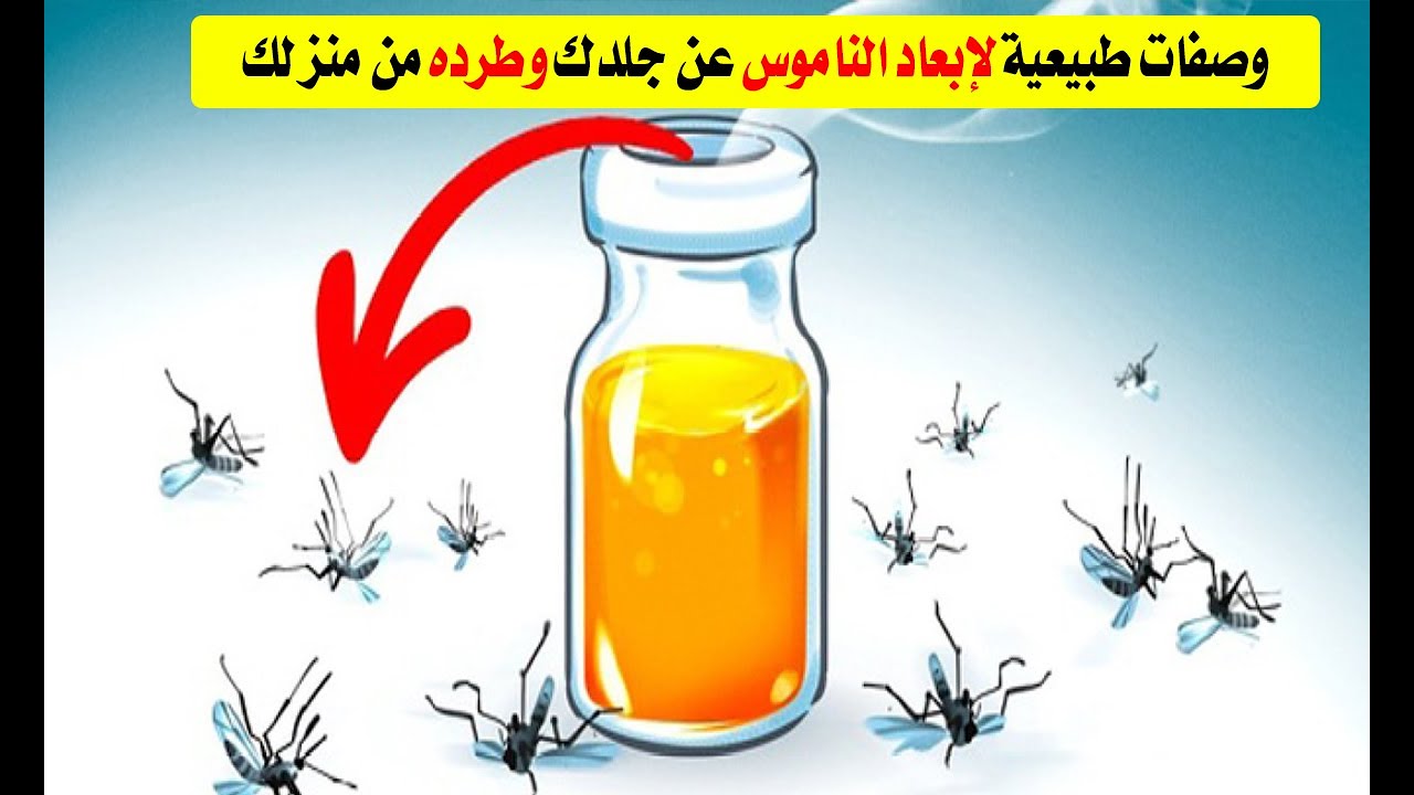 "هيختفي نهائي" طرق طرد الناموس من البيت بوصفات طبيعية 5 “هيختفي نهائي” طرق طرد الناموس من البيت بوصفات طبيعية