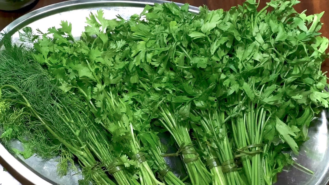 بأسرار التجار.. ملعقة سحرية لتخزين الشبت والبقدونس لمدة سنة كاملة بدون تغيير في لونها وطعمها هتفضل فريش