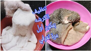 هتبقي زي الفل.. مكون سحري في مطبخك لتنظيف الكرشة من الزفارة والروائح الكريهة في دقيقتين حتي لو فحمة