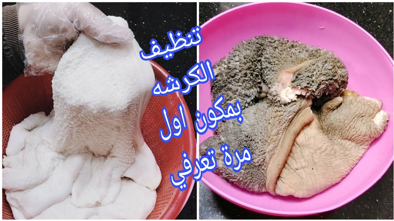 هتبقي زي الفل.. مكون سحري في مطبخك لتنظيف الكرشة من الزفارة والروائح الكريهة في دقيقتين حتي لو فحمة 5 هتبقي زي الفل.. مكون سحري في مطبخك لتنظيف الكرشة من الزفارة والروائح الكريهة في دقيقتين حتي لو فحمة