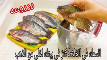 اختراع لكل ست بيت.. السمك في الخلاط فكرة جديدة أغلي من الذهب لو جربتيها هتعمليها كل يوم لأولادك