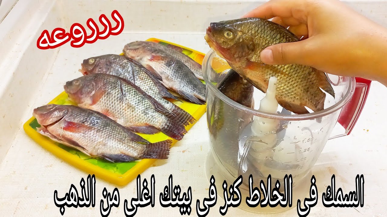 اختراع لكل ست بيت.. السمك في الخلاط فكرة جديدة أغلي من الذهب لو جربتيها هتعمليها كل يوم لأولادك 5 اختراع لكل ست بيت.. السمك في الخلاط فكرة جديدة أغلي من الذهب لو جربتيها هتعمليها كل يوم لأولادك