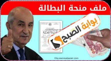منحة البطالة في الجزائر: الأهمية والشروط وخطوات التسجيل