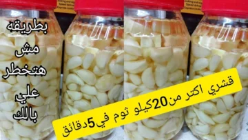 فكرة بملايين.. تقشير الثوم بسرعة الصاروخ هتقشري أكبر كمية وبكل سهولة وبدون تعب لازم تجريبها بنفسك