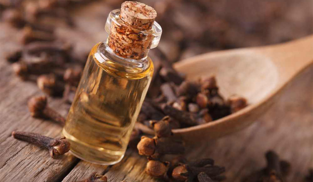 احذر من استعمال القرنفل في هذه الحالات 5 احذر من استعمال القرنفل في هذه الحالات