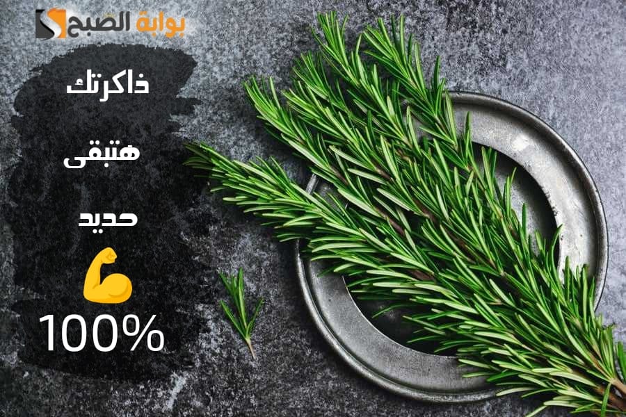 هبة من الخالق .. عشبة جهنمية موجودة في مطبخك تقوي الذاكرة وتعيد لك شبابك في ثواني.. جربها وهتدعيلي! 7 هبة من الخالق .. عشبة جهنمية موجودة في مطبخك تقوي الذاكرة وتعيد لك شبابك في ثواني.. جربها وهتدعيلي!