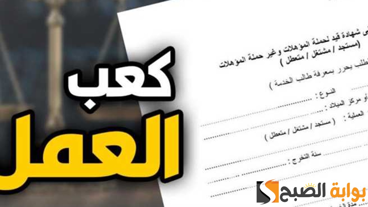 استخراج كعب العمل 2024 | الطريقة والأوراق المطلوبة والرسوم