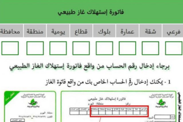 فاتورة الغاز 2024: تعرف على قيمة الفاتورة والتاريخ المحدد لسدادها