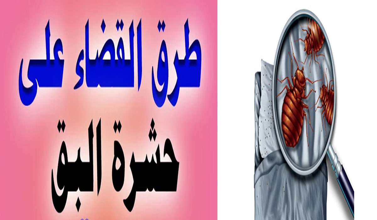 وصفة سريعة تخلصك من حشرات البق بدون كيماويات ولا رائحة نفاذة 5 وصفة سريعة تخلصك من حشرات البق بدون كيماويات ولا رائحة نفاذة
